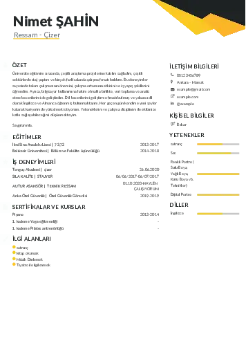 Ressam Cv Örnekleri cv indir